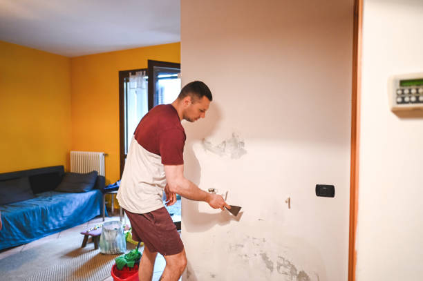 Best Certified Mold Removal  in Summit, MS